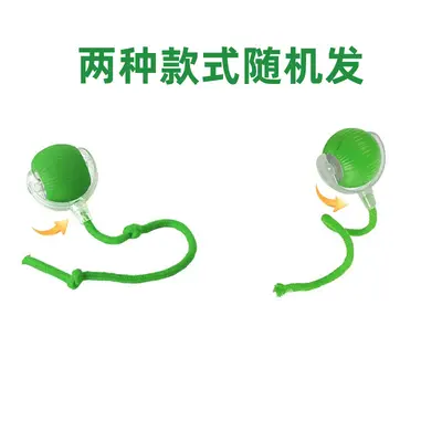 Automatic Electric Dog Ball, Self-Play Smart Interactive Dog Toy - 9