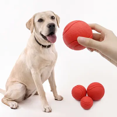 TPR Rubber Dog Ball Plain Elastic Chew Toy - 2