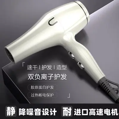 Professional Negative Ion Hair Dryer with High Airflow
