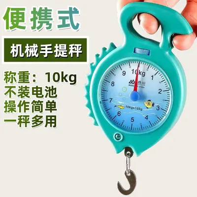 弹簧秤高精度手提称便捷式家用随身带小勾称小型手提多功能电子称