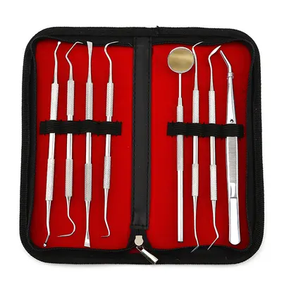 Stainless steel dental cleaning and tartar removal tool kit
