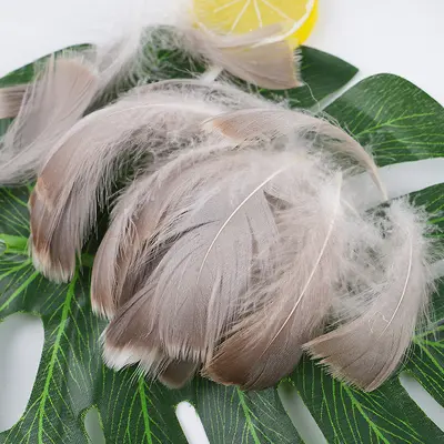 36 Colours Small Dyed Swan Feathers for DIY Jewelry - 13