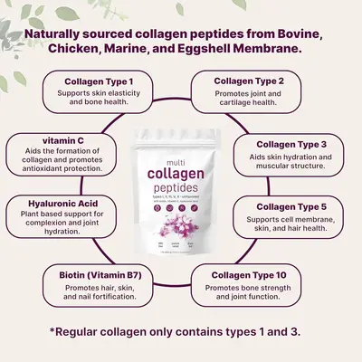 454g/907g Küçük Moleküllü Kolajen Peptit Tozu - 2