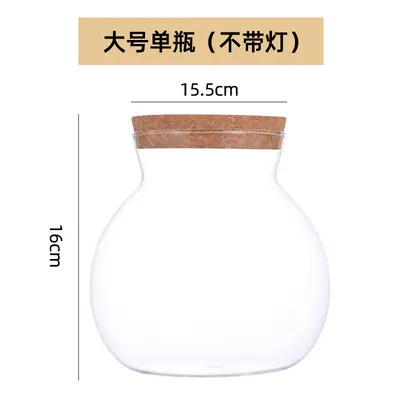 High Borosilicate Glass Hydroponic Plant Bottle, Desktop Vase and Betta Tank - 9