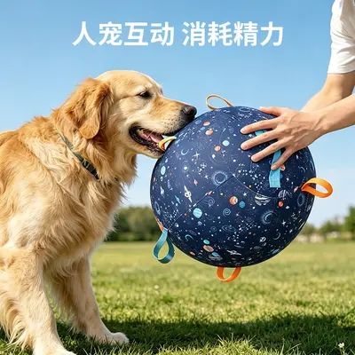 Inflatable Dog Interactive Ball, Durable for Outdoor Use, for Medium and Large Dogs - 3