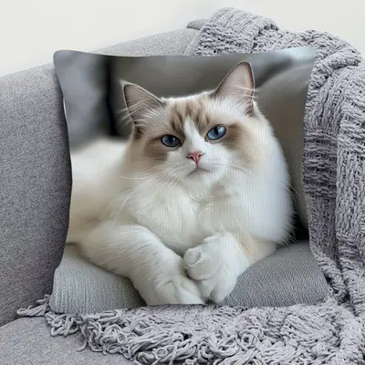 Transsınır TEMU Sıcak Satış Telefon Oynayan Kedi Kedi Yastık Kılıfı Dijital Baskı Süper Yumuşak Ev Kanepe Dekorasyon Yastiğı Kılıfı - 12