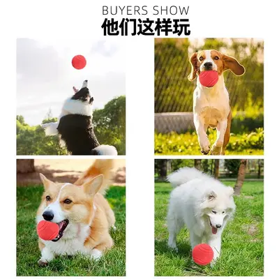 Solid Rubber Dog Ball, Chew-Resistant Dental Toy for Puppies - 4