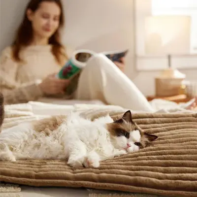 Amazon Sınır Ötesi Yeni Model Çok Satan Evcil Hayvan Küçük Tavşan Tüylü Sıcak Evcil Hayvan Minderi Kedi ve Köpek Uyumlu Üretici Doğrudan Satış Stokta
