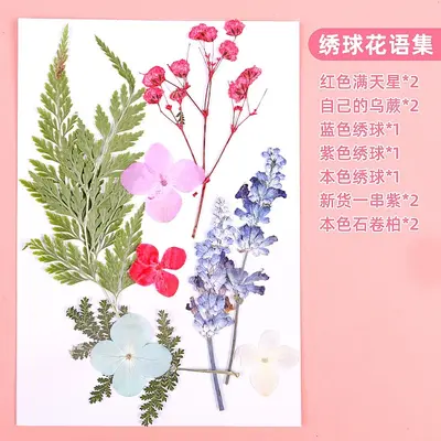 Dried and Pressed Flower DIY Material Pack for Resin Crafts - 12