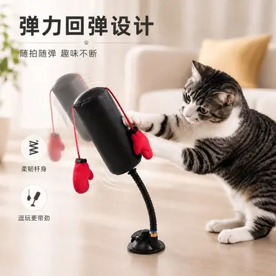 Katzen-Boxhalter mit Feder, selbstbeschäftigendes Innenraum-Katzenspielzeug - 4