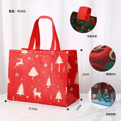 Laminated Christmas Non-Woven 3D Gift Bag with Handles