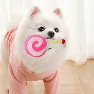 Plush Lollipop Squeaky Toy for Cats and Dogs, Chew-Resistant - 2