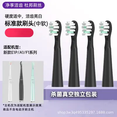 Replacement Toothbrush Heads for Sakypro Shuke, Compatible with G22/G23/G33/G32/T2 - 12