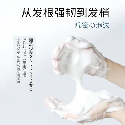 跨境供应控油去屑净发乳清爽持久护发养发528ml洗发水酒店批发