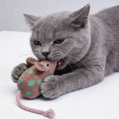 Simulation Plush Mouse Cat Toy, Bite-Resistant, With Catnip - 4