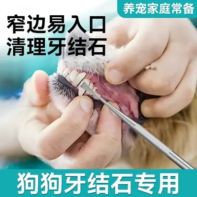 宠物狗狗猫咪洁牙器牙结石去除器锄型洁牙工具狗狗去牙垢结石刮刀
