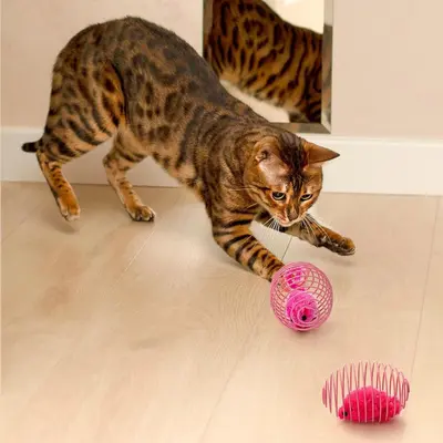 Plush Mouse Cat Toy with Spring, Cage Use - 5