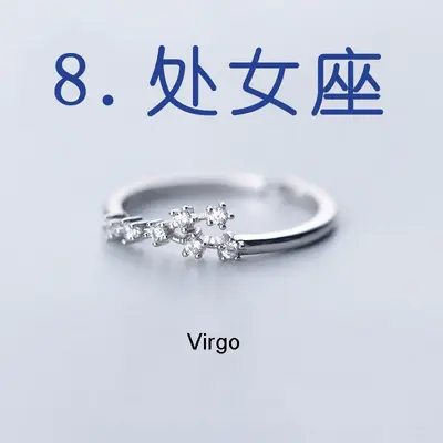 Cross-border hot sale zircon silver plated twelve constellations open adjustable ring fashion women constellation ring factory wholesale - 13