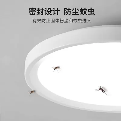 Leishi Modern LED Ceiling Light with Motion Sensor for Corridor