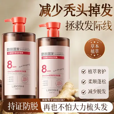 Platycladus-Blatt-Ingwer Anti-Haarausfall-Shampoo, große Füllmenge