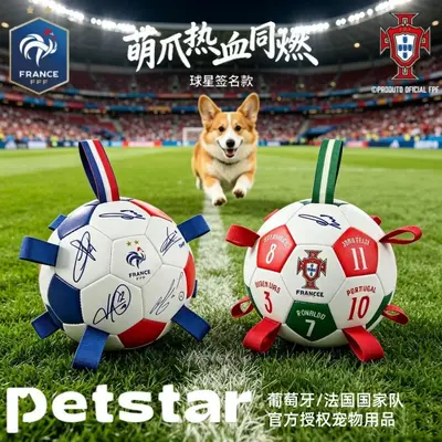 World Cup Football Interactive Dog Toy, Self-Play Energy-Burning Pet Toy