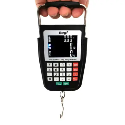 Voice pricing scale, rechargeable portable handheld