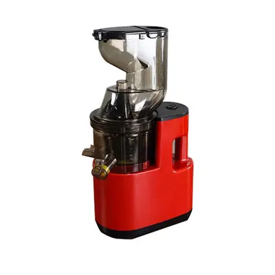 Slow Juicer Meyve ve Sebze Soğuk Pres Sıkacağı, Yavaş Ezme Sıkacağı Geniş Yuva Meyve Makinesi BPA İçermez - 9