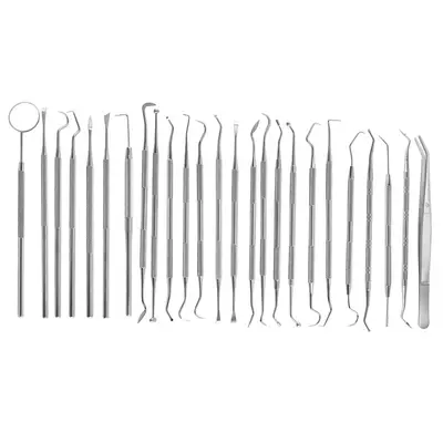 Stainless Steel Dental Cleaning Tool Set