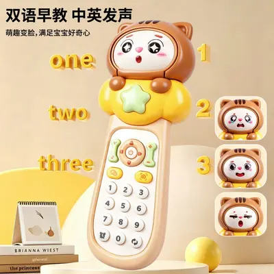 Sound and light bilingual remote control toy