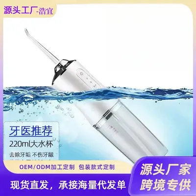 Portable electric oral irrigator, tartar remover