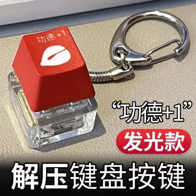 Light and Sound Seagull Stress Relief Keychain, Type-C Rechargeable - 13