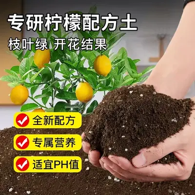 Limon kokulu bitki toprağı, genel amaçlı, gevşek ve havalandırmalı