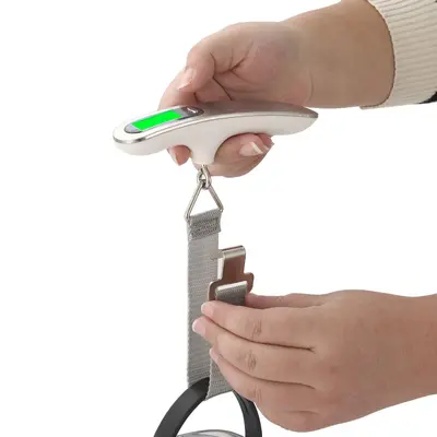 Stainless Steel Portable Luggage Scale Mini Digital