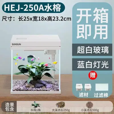 HEJ Mini-Aquarium aus extra klarem Glas mit Sauerstoffanreicherung, Tischaquarium - 7