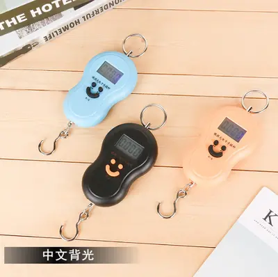 Mini-tragbare elektronische Waage, digitale Gewichtung