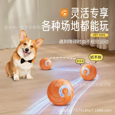 Intelligenter Hunde- und Katzen-Hüpfball, abriebfestes Beschäftigungsspielzeug - 3