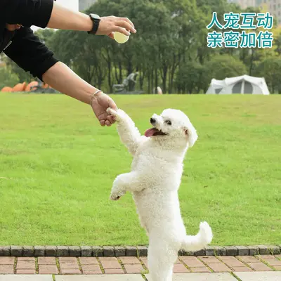 Meianju pet oyuncak topu aydınlık top yüksek elastikiyet elastik eğlenceli evcil hayvan eğitimi köpek eğitim aracı köpek oyuncak