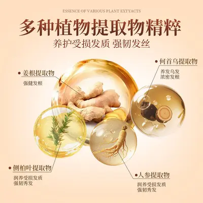 Large Hotel Salon Shampoo with Oil Control and Anti-Dandruff, Bulk Barrel