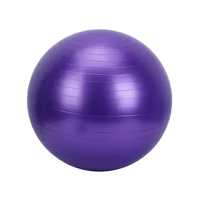 PVC Kalın Mat Yoga Topu 55 cm 65 cm 75 cm Fitness Topu - 6