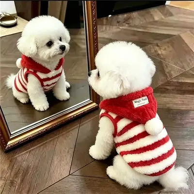 Kapüşonlu Köpek Yeleği, Kalın, Sıcak, Küçük Irk