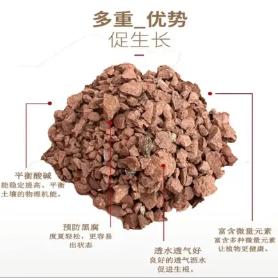 Bonsai Soil Mix with Akadama, Acidic Soil and Red Sand Granules - 5