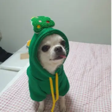 Haustier Hunde Katzen Pullover Herbst und Winter Neue Teddy French Bulldog Mittelgroße Hunde Weihnachten Katzenzubehör Kleidung