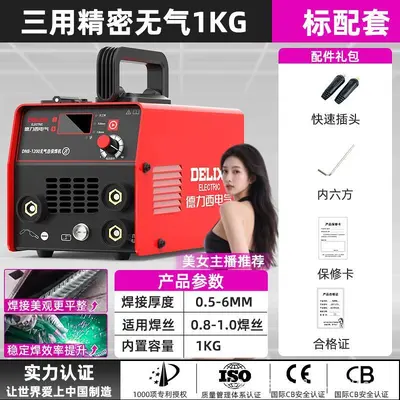 Delixi 220V Multifunction Gasless Welding Machine, Portable, Industrial Grade