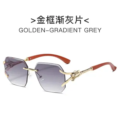 Frameless Square Sunglasses with Leopard Print Temples - 9