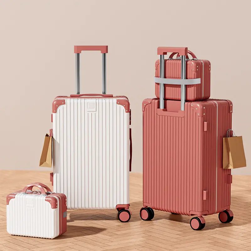 Large Capacity 24 Inch Silent Combination Lock Trolley Suitcase for Men and Women
