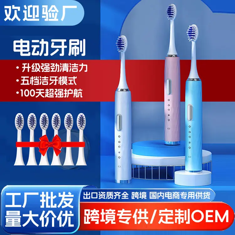 Adult Sonic Electric Toothbrush, Rechargeable, Couple Gift Box Set for Men and Women