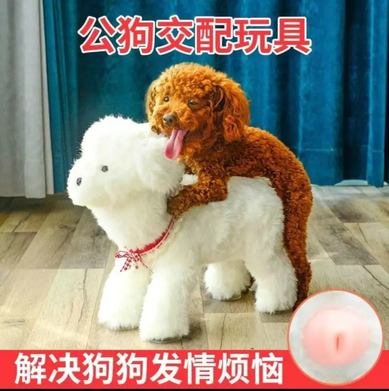 Evcil Hayvan Köpek Stres Giderici Peluş Teddy Oyuncak