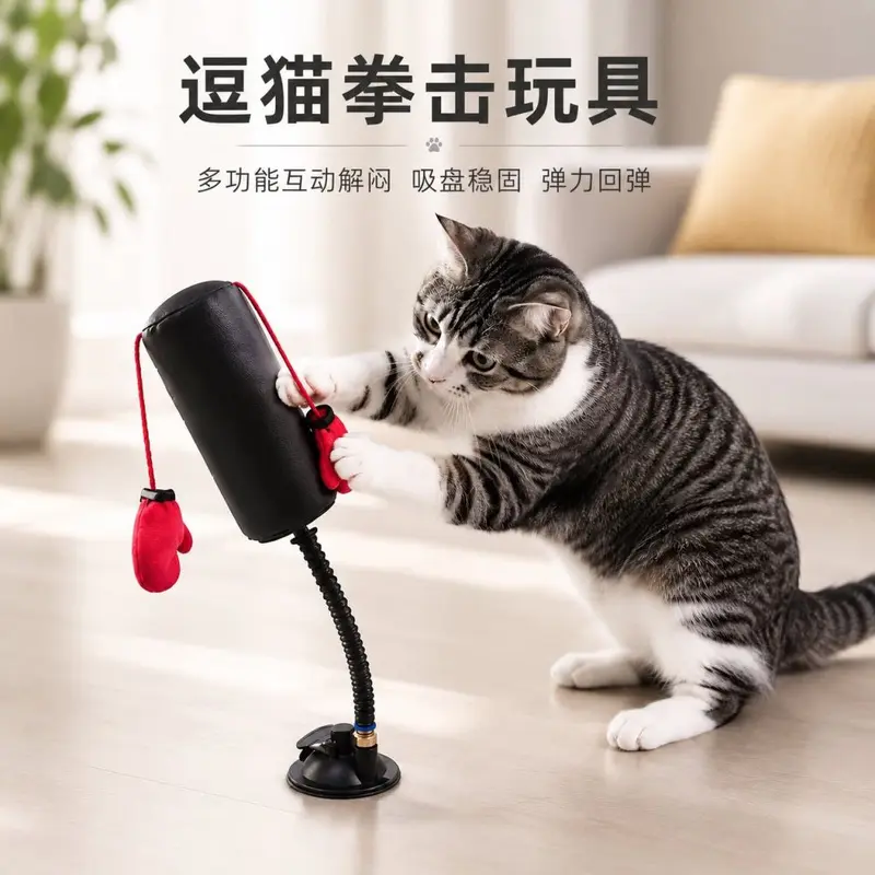Katzen-Boxhalter mit Feder, selbstbeschäftigendes Innenraum-Katzenspielzeug
