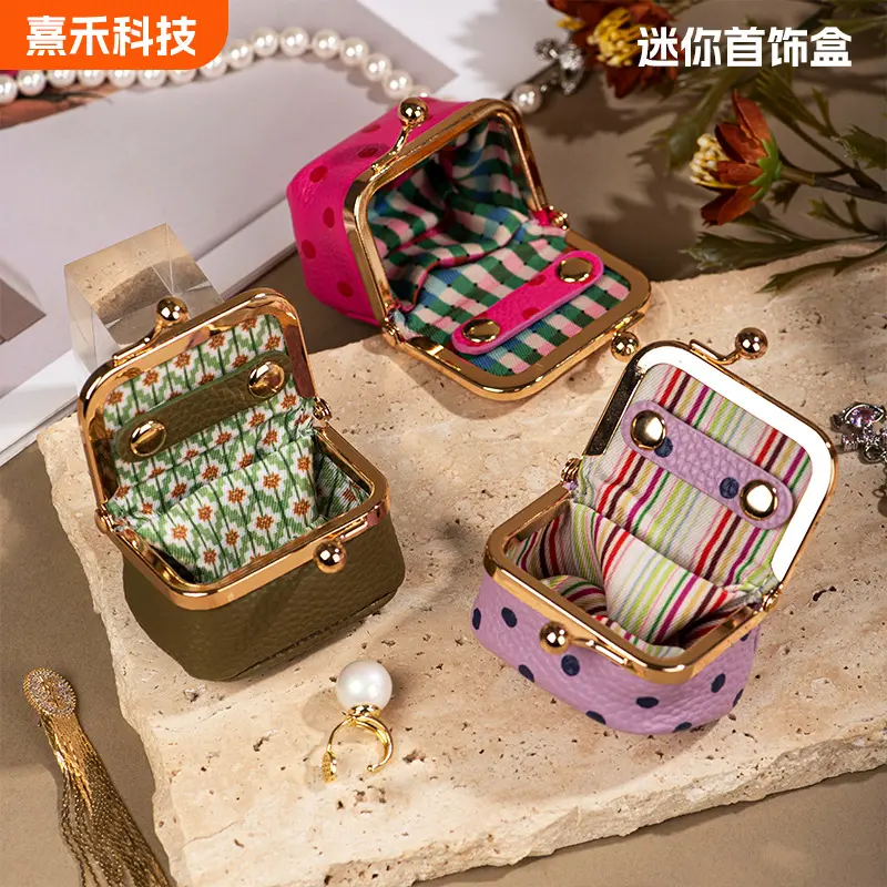 Mini Clasp Purse Jewelry Organizer for Rings, Necklaces and Earrings