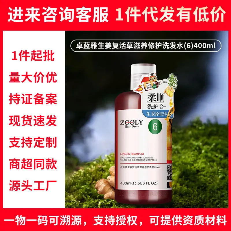 Zhuolan Ya Ingwer Shampoo Nährend Reparatur